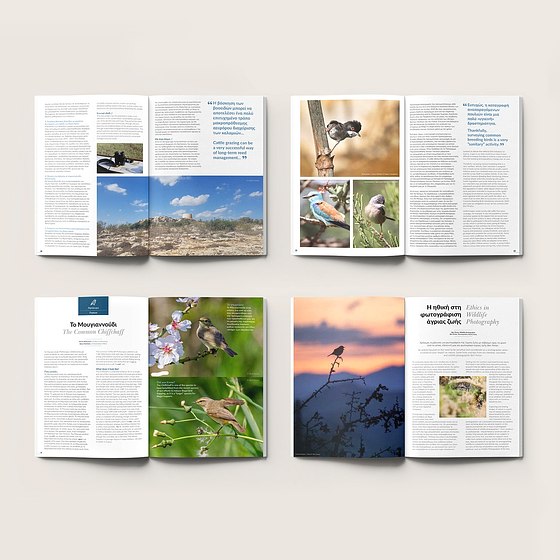 Publications