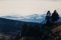 Michoacan mountains, Mexico