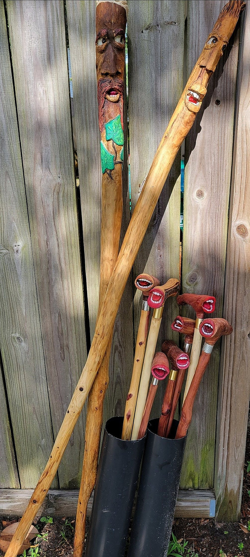 Canes & Walking Sticks
