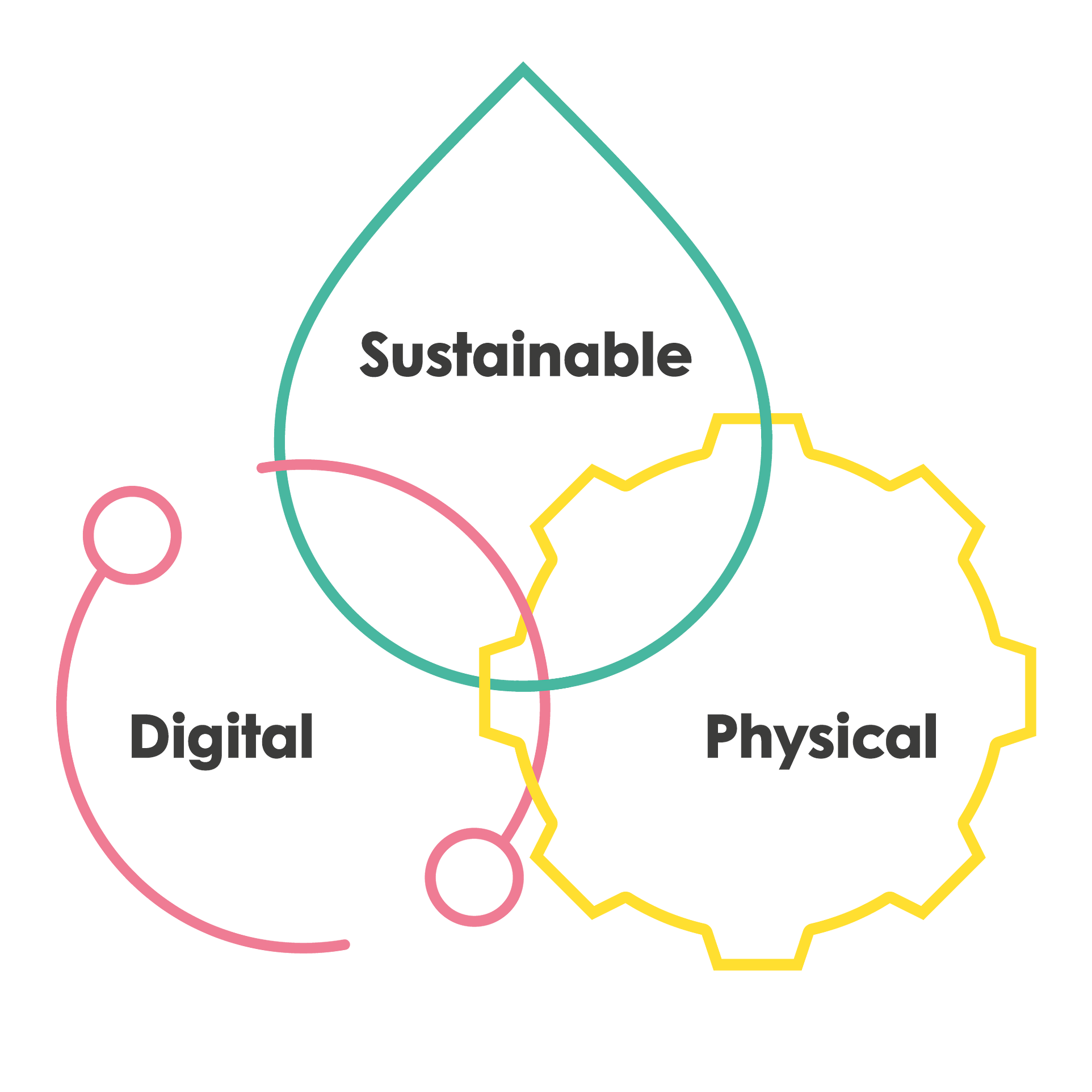 Motion Graphics/Animation