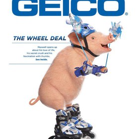 Geico [Senior Copywriter]