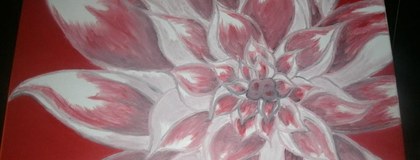 My flower paintings