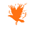 Orange Raven Creative Team