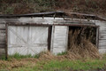 bothell-shed-2