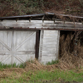 Fallen Shed - Bothell
