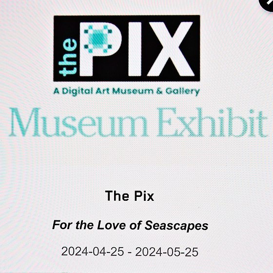 New Solo Museum Exhibition!  "FOR THE LOVE OF SEASCAPES" - Open, click on link.