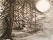Tree in Charcoal 